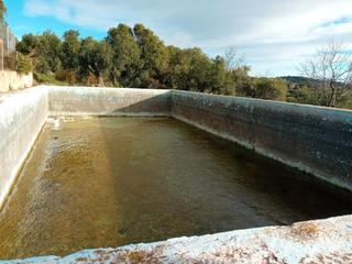 Finca rústica  Partida monterols. Plantación principalmente de olivos con excelente rendimiento