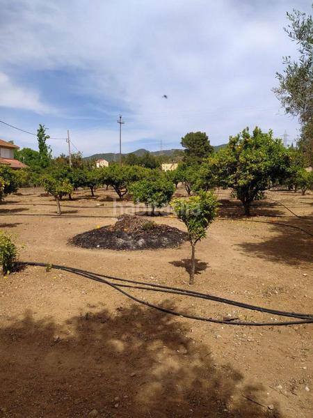 Foto 4c11677a-9a6d-4c0d-839f-07925e41ef67. Residential plot in Urbanitzacions Tortosa