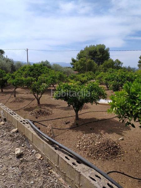 Foto 91803abd-f8bf-4535-929c-161597446e90. Residential plot in Urbanitzacions Tortosa