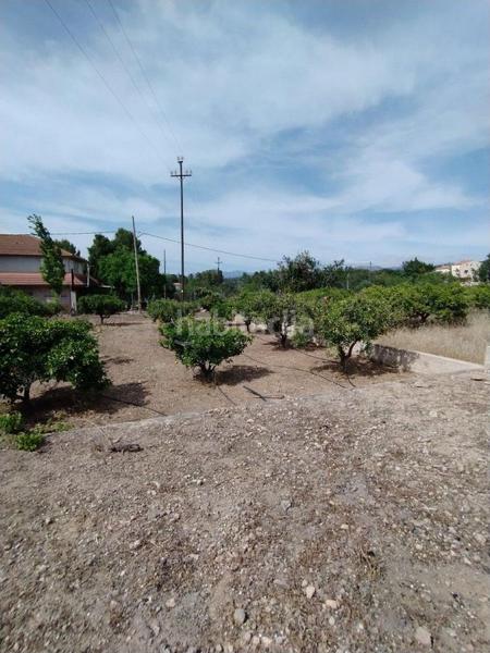 Foto 9fbae34e-1993-4596-83a9-e730798a4978. Residential plot in Urbanitzacions Tortosa