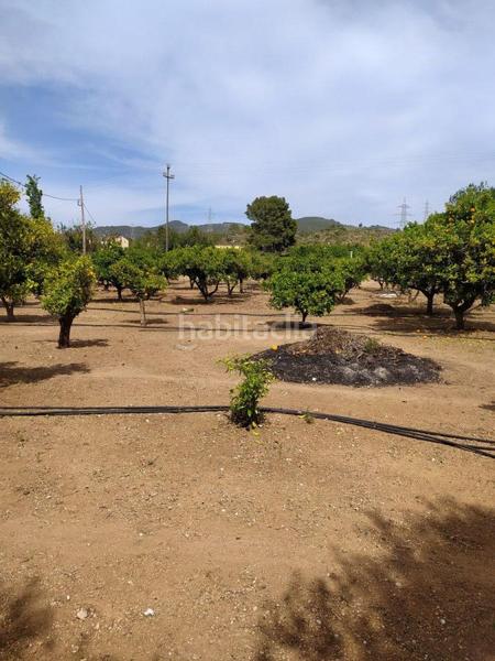 Foto c45ddd2e-70d4-4410-bd3e-0c4954b054e7. Residential plot in Urbanitzacions Tortosa