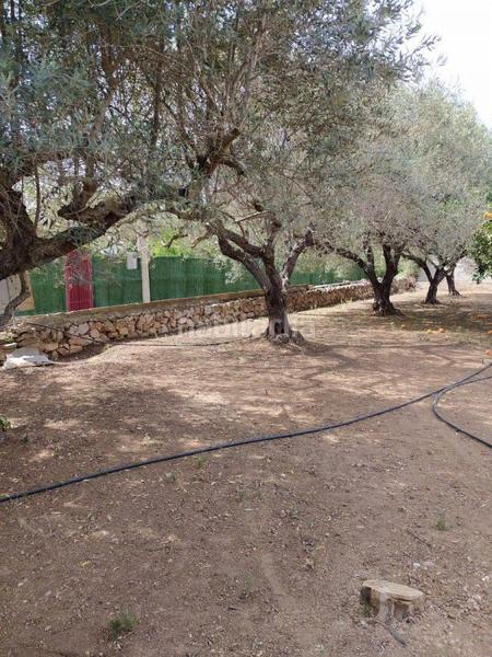 Foto c6f70bcb-6fac-4071-8a19-6f78f4f2761f. Residential plot in Urbanitzacions Tortosa