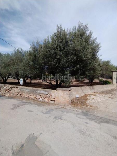 Foto d5881e49-e524-46af-aa8b-cb1bd7c170b9. Residential plot in Urbanitzacions Tortosa