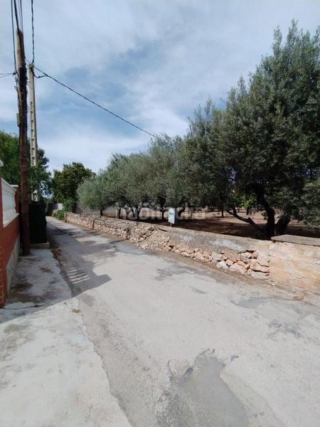 Foto 38db261e-bc02-45ce-a3b2-96fc22e7a043. Terreno residenziale in Urbanitzacions Tortosa