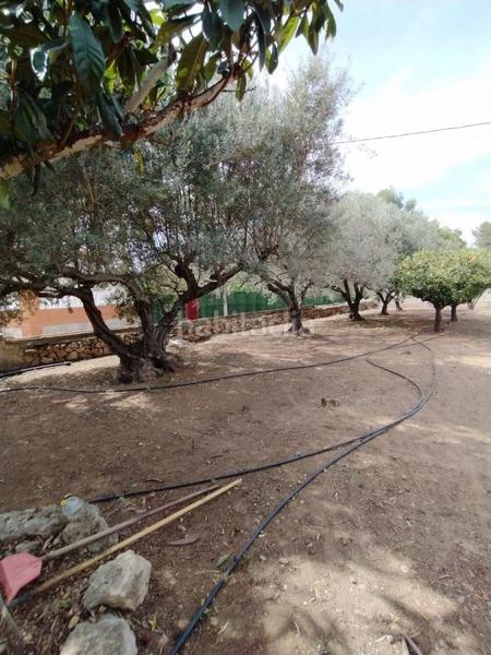 Foto 3a3d1dc5-6fae-468a-b49f-194979fb6899. Terreno residenziale in Urbanitzacions Tortosa