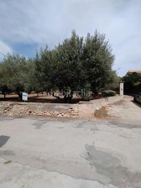 Foto 469313c2-62f4-4b88-bfc9-792476b205c7. Terreno residenziale in Urbanitzacions Tortosa