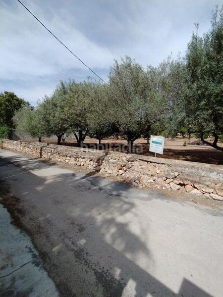 Foto 97683728-cf19-4df7-aa73-6599c1e6b848. Terreno residenziale in Urbanitzacions Tortosa