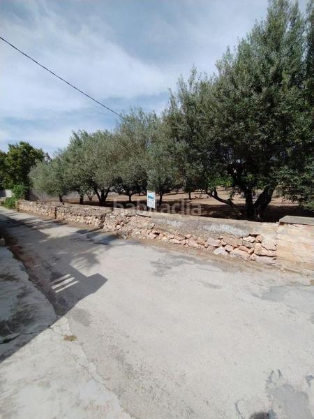 Foto cd58af20-13da-4f67-9460-20627a851cbf. Terreno residenziale in Urbanitzacions Tortosa