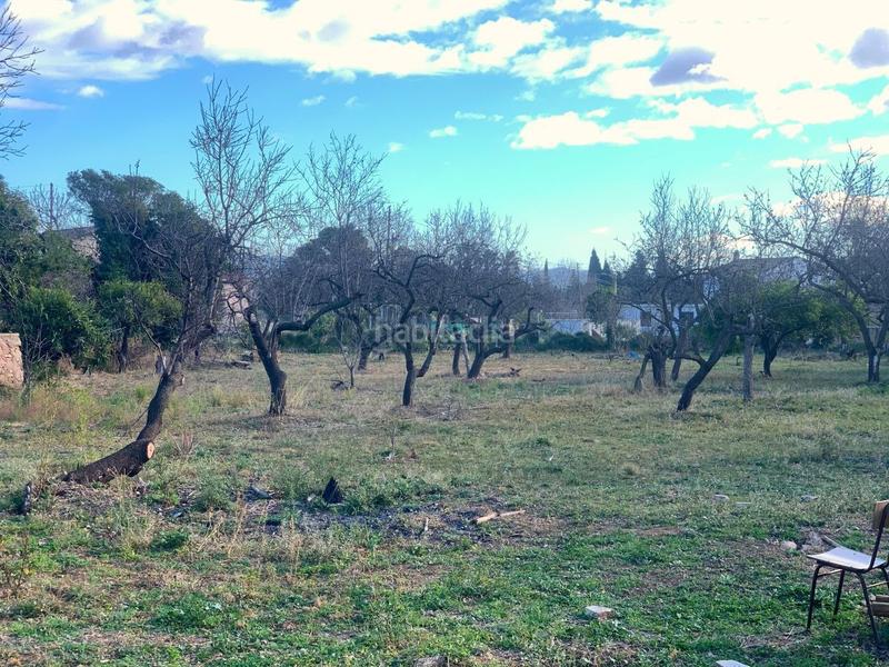 Foto 12e85df9-4f4f-4fa4-809f-b4d92c198815. Bauernhof in Jesús - Els Reguers Tortosa