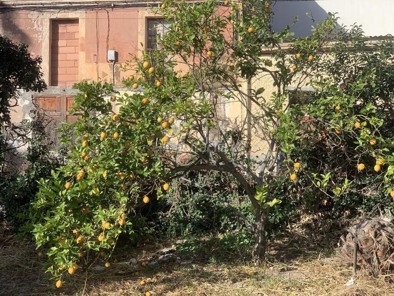 Foto 5d228797-7032-4704-a9b6-a22d013c5abf. Bauernhof in Jesús - Els Reguers Tortosa