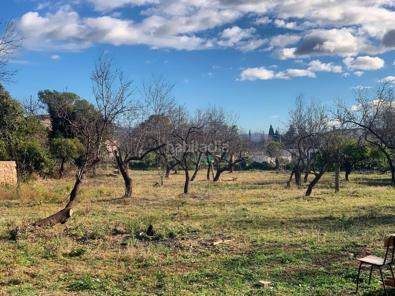 Foto d6bf74fb-3ccd-41d6-87d5-4f197b4e5b13. Casale in Jesús - Els Reguers Tortosa