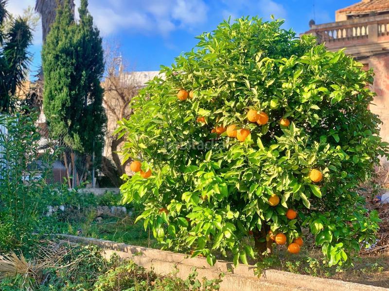 Foto ab7e6595-9f61-4683-9cf6-3957191e8678. Country house in Jesús - Els Reguers Tortosa