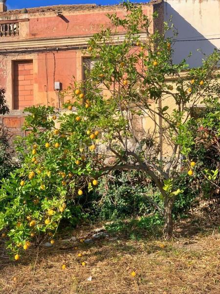 Foto f62b6735-b73b-4f87-bb6c-7f1fdbcf488e. Country house in Jesús - Els Reguers Tortosa