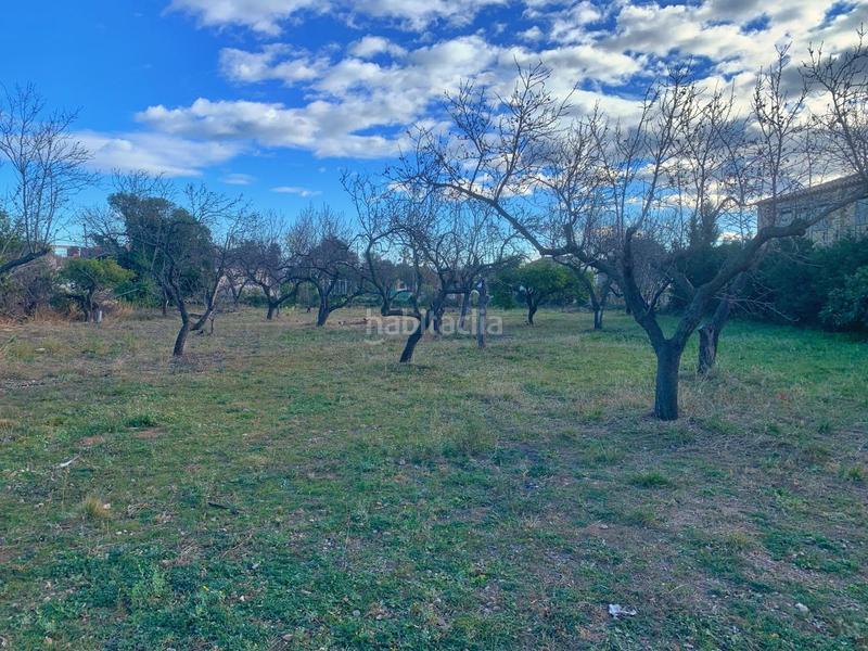 Foto 727bd6c3-4490-4a4c-8dd8-11d62a599bdf. Mas dans Jesús - Els Reguers Tortosa