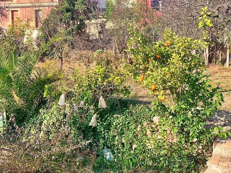 Foto a244b74b-690a-4dd0-bc51-9251873fcd07. Mas dans Jesús - Els Reguers Tortosa