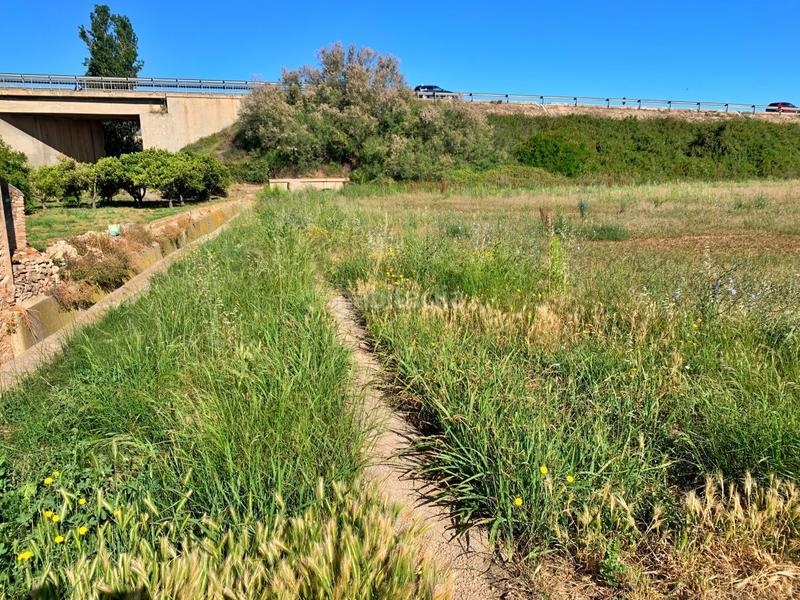 Foto 1251a6f6-85a9-42f3-b283-cf63ce40df3f. Mas dans Roquetes