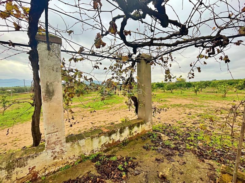 Foto 0214a889-04a3-44db-9323-f68f83125271. Casa en Santa Bàrbara