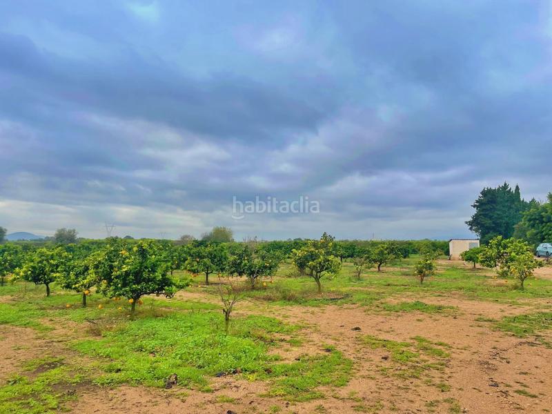 Foto 106582b9-b5a4-4c93-acf3-944ba1a00300. Casa en Santa Bàrbara