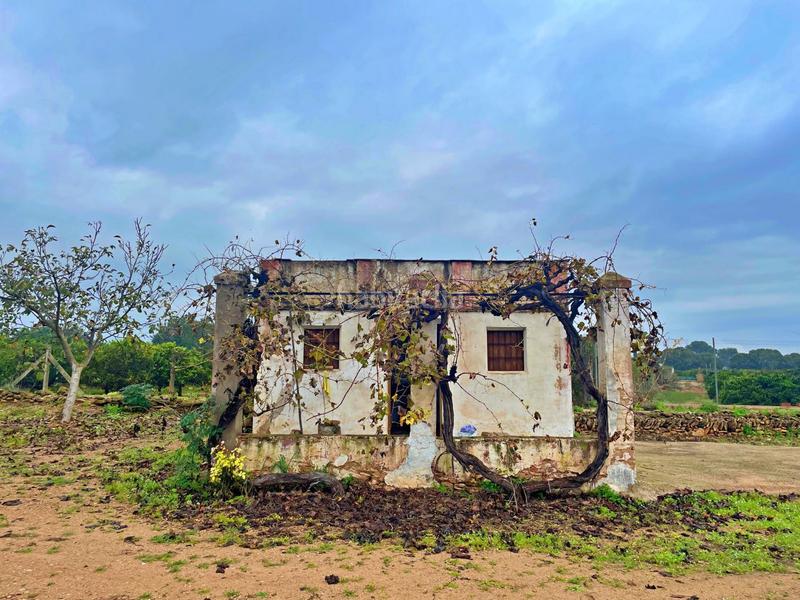 Foto 40504b47-0e71-490f-a5e8-ede74dd24a8d. Casa en Santa Bàrbara