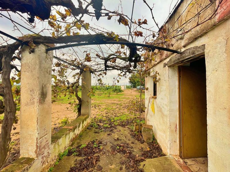 Foto 66c77e6f-50dc-485c-8925-3b35e78557cf. Casa en Santa Bàrbara