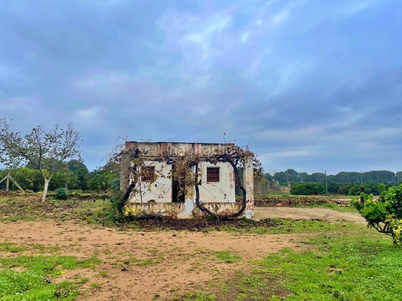 Foto 8397e89a-1422-4883-a835-8a0629cc92fe. Casa en Santa Bàrbara