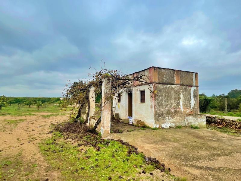 Foto 863349b0-82a8-49c3-b63b-259f0c90f7a7. Casa en Santa Bàrbara