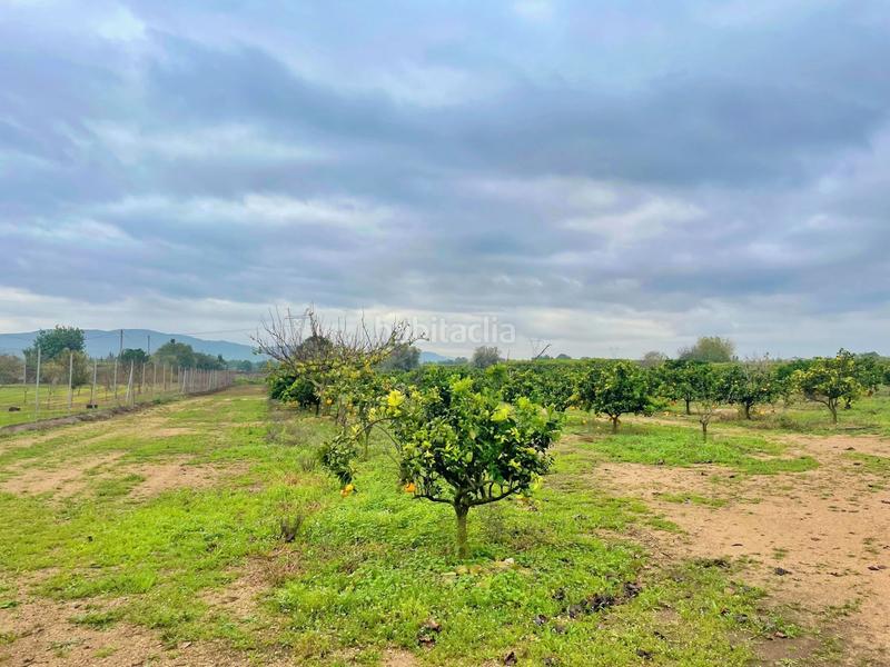 Foto 98b7b50c-d4c3-4f1a-aa3d-177a643bfdac. Casa en Santa Bàrbara