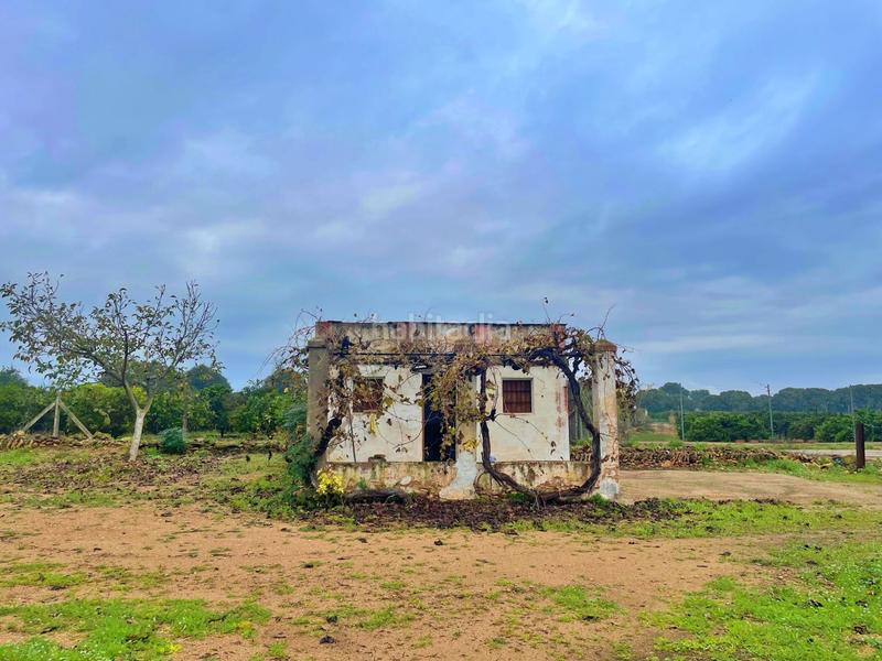 Foto a3508318-894a-4220-ade5-0674800a7f3f. Casa en Santa Bàrbara