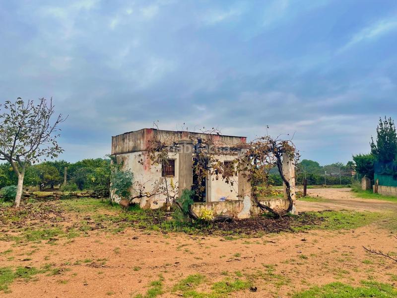 Foto ba9f518f-27a4-488d-bace-bcbe470117f5. Casa en Santa Bàrbara