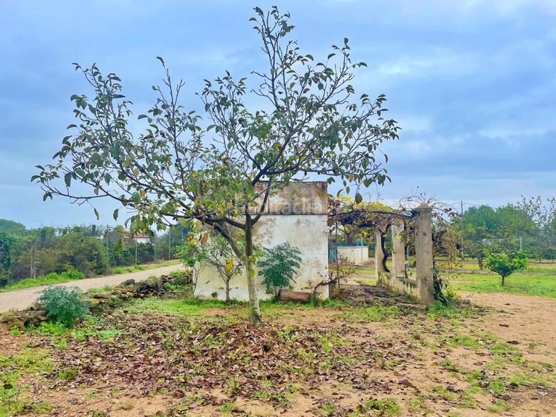 Foto bd5f31fd-c3a9-41b3-b866-406699c93b75. Casa en Santa Bàrbara