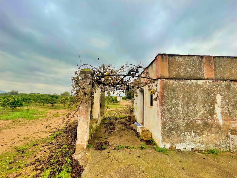 Foto cdcfa173-2efa-4681-a7cd-bda4f2c19476. Casa en Santa Bàrbara