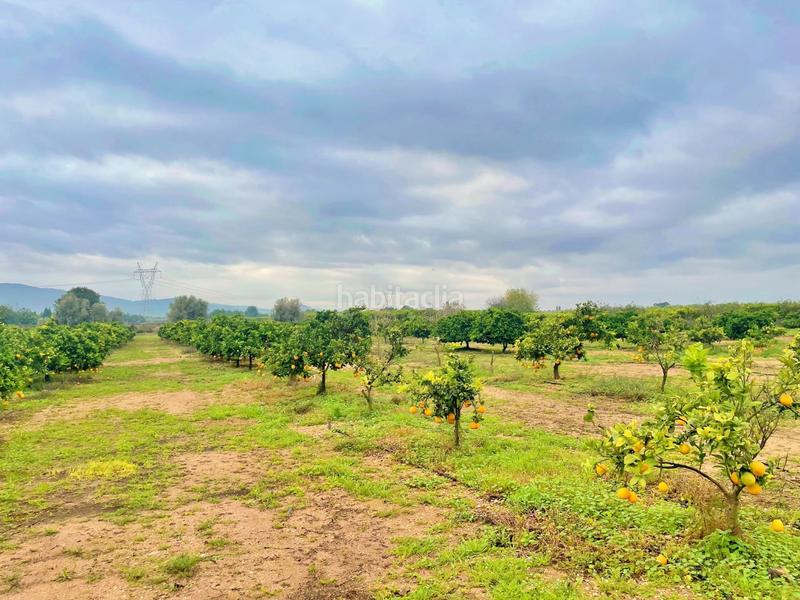 Foto cfd74d04-0967-4616-a03f-765c6b74cd24. Casa en Santa Bàrbara