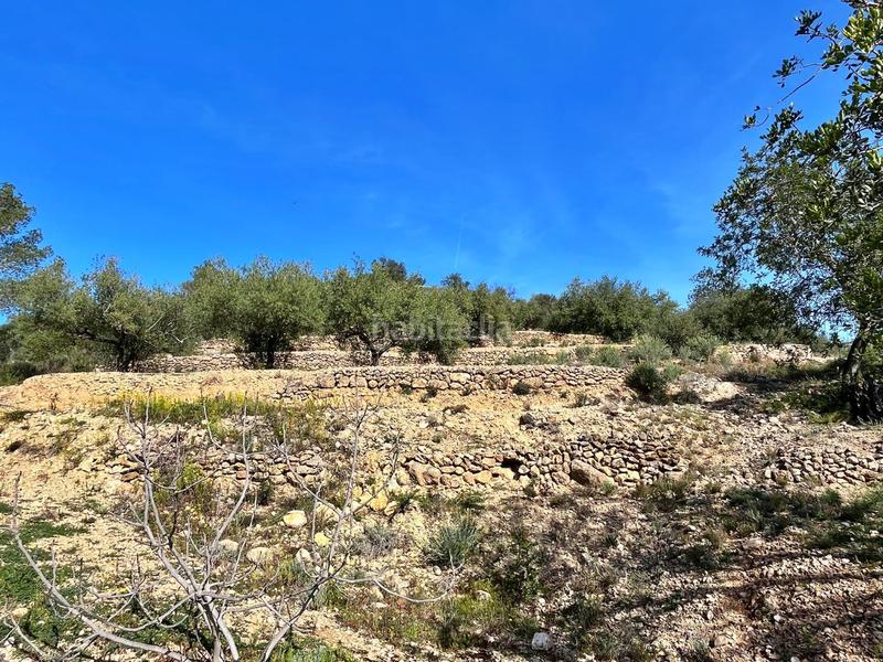 Foto 1346b692-8f7d-4383-adaf-3c6c7d9d22a1. Bauernhof in Tivenys