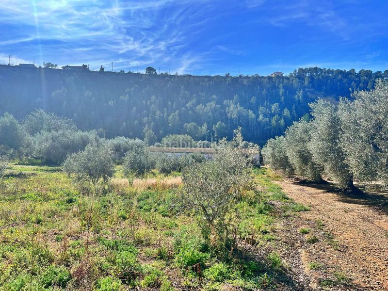 Foto 19b908a7-824f-412b-a426-6130805eb97d. Bauernhof in Tivenys