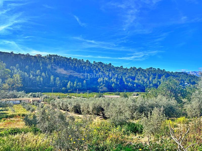 Foto 400ad935-78ff-4bf4-8d30-88ebf8148b59. Bauernhof in Tivenys