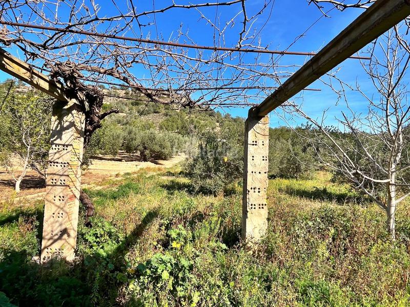 Foto 52e98879-42c7-46c5-913a-e7027f0ef363. Bauernhof in Tivenys