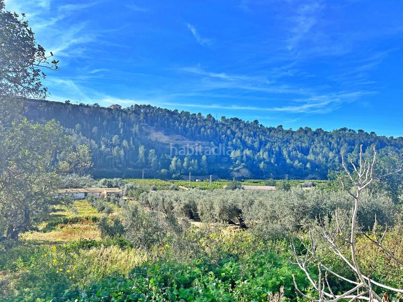 Foto 9c23c9c3-eab6-4f43-b826-ef0043478b2d. Bauernhof in Tivenys