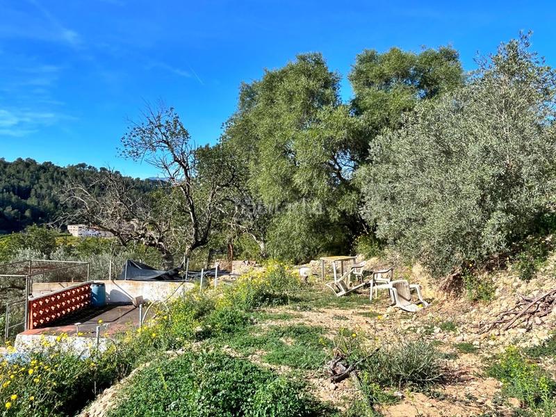 Foto d0a7ef7a-b061-4db9-b26b-eb5237f9dfa8. Bauernhof in Tivenys