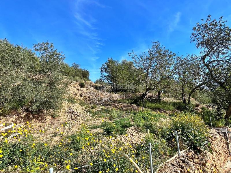 Foto d5194d7e-dda2-4f05-a9ae-4dd5f85b7b7f. Bauernhof in Tivenys