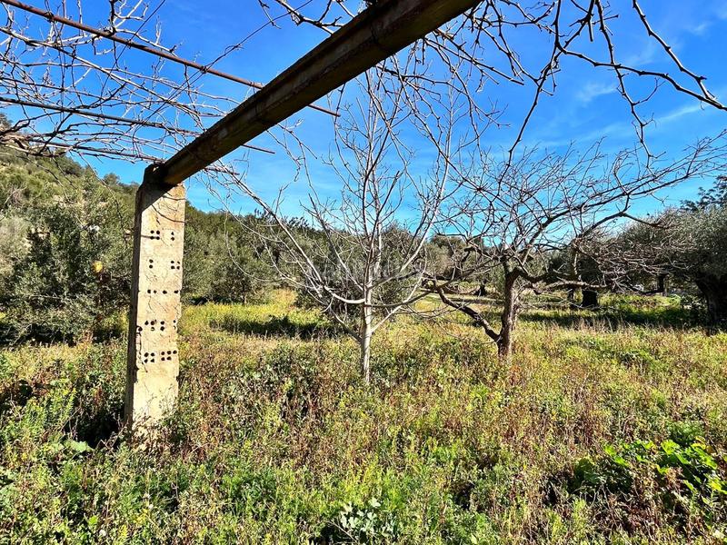 Foto e9eb26d3-621c-4736-8443-e9c6c48c7034. Bauernhof in Tivenys