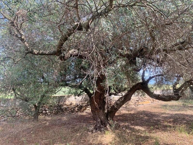 Foto 3fb02d8e-00e5-4136-927d-9d03156896b7. Casa in Aldover