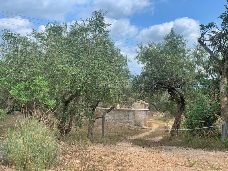 Foto 77a8a2fb-9206-49e7-bfb7-3b9c8463aa4e. Casa in Aldover