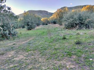 Masia a Xerta