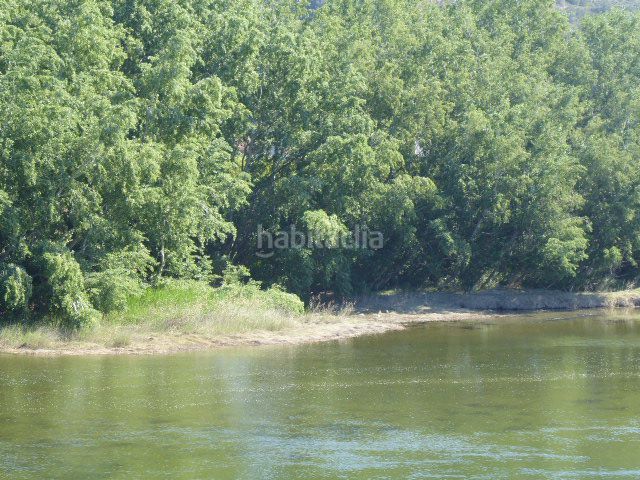 Foto 0dc33935-d2b6-4de3-be8c-44b55e4f5b9c. Masía en Xerta