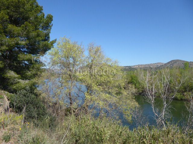 Foto 167b886b-db99-44ac-963f-3dcd6b72dd3c. Masía en Xerta