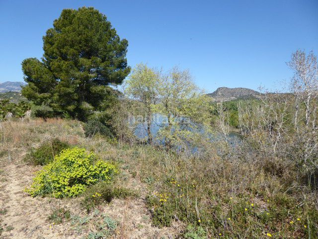 Foto 496cdc20-942c-42e7-9d92-c60906125efc. Masía en Xerta