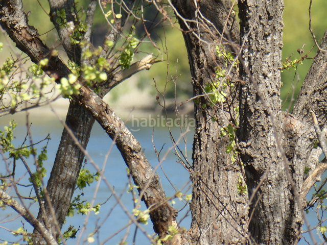 Foto 4b555e5e-860c-46d0-b266-bfdae7089d07. Masía en Xerta