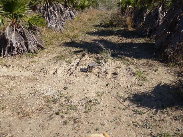 Foto 519df5d6-8986-4154-a480-b087044d4e56. Masía en Xerta