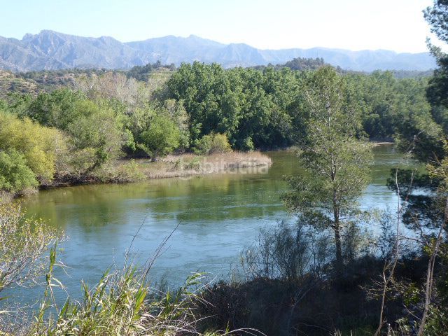 Foto 61116375-c0e5-4dd8-a528-698fb44a596b. Masía en Xerta