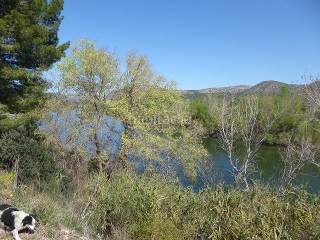 Foto 6ef244e1-ff6b-4eba-ade0-3386aeb62f39. Masía en Xerta